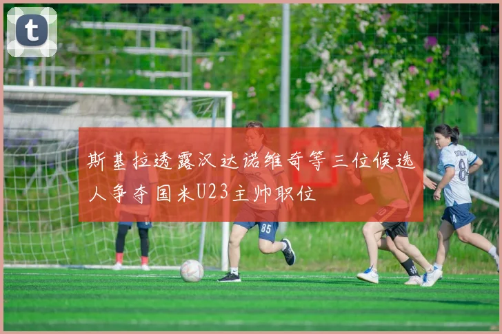 斯基拉透露汉达诺维奇等三位候选人争夺国米U23主帅职位